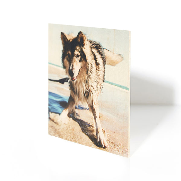 7 x 7 Wood Print - Wood Print - Plak That Printing Company