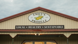 a photo of an oval sign saying "Emily's Produce" and a rectangular sign saying "Local • Healthy • Sustainable" both mounted to the side of a building