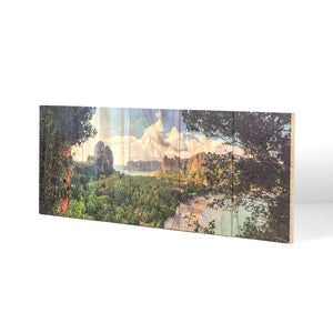 10.5 x 27.5 Panoramic Planked Wood Print - Wood Print - Plak That Printing Company